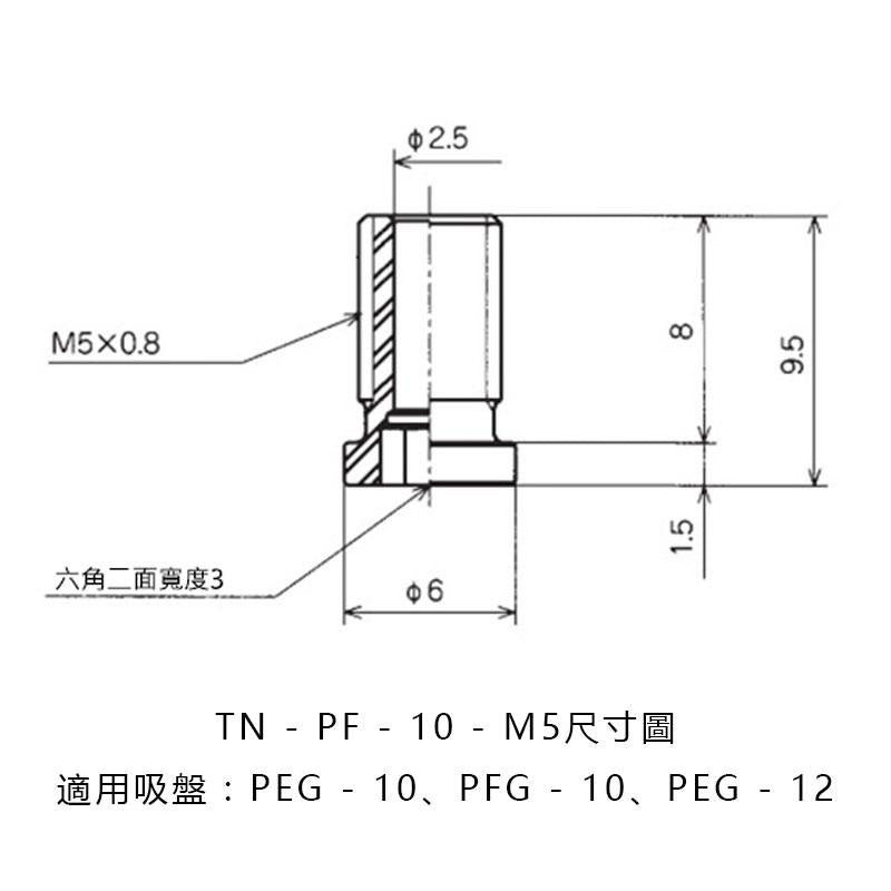 止迴螺絲 TN